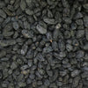BLACK RAISINS / DRAKSH - SEED 1