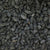 BLACK RAISINS / DRAKSH - SEED 1