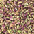 LIPTIK PISTACHIOS / PISTA MAGAJ