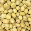 MACADAMIA NUTS