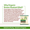 Organic Brown Mustard (Rai)