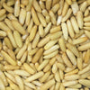 PINE NUTS - WITHOUT SHELL